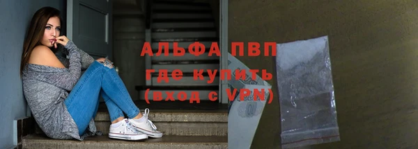 стаф Новокубанск