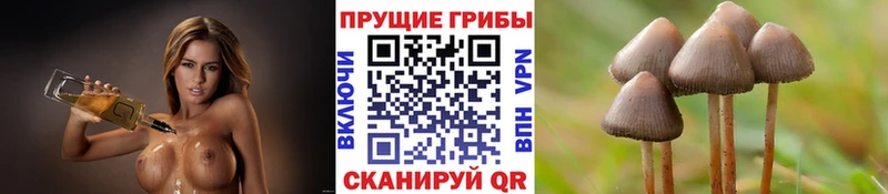 Псилоцибиновые грибы ЛСД  наркошоп  Тара 